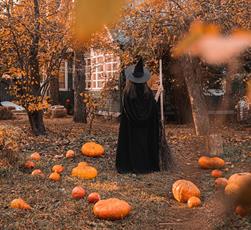 Halloween Pumpkins and Young Witch